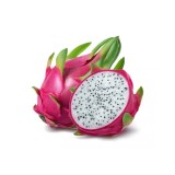 Plantă vie Pink Dragon Alocasia Calidora Fruct