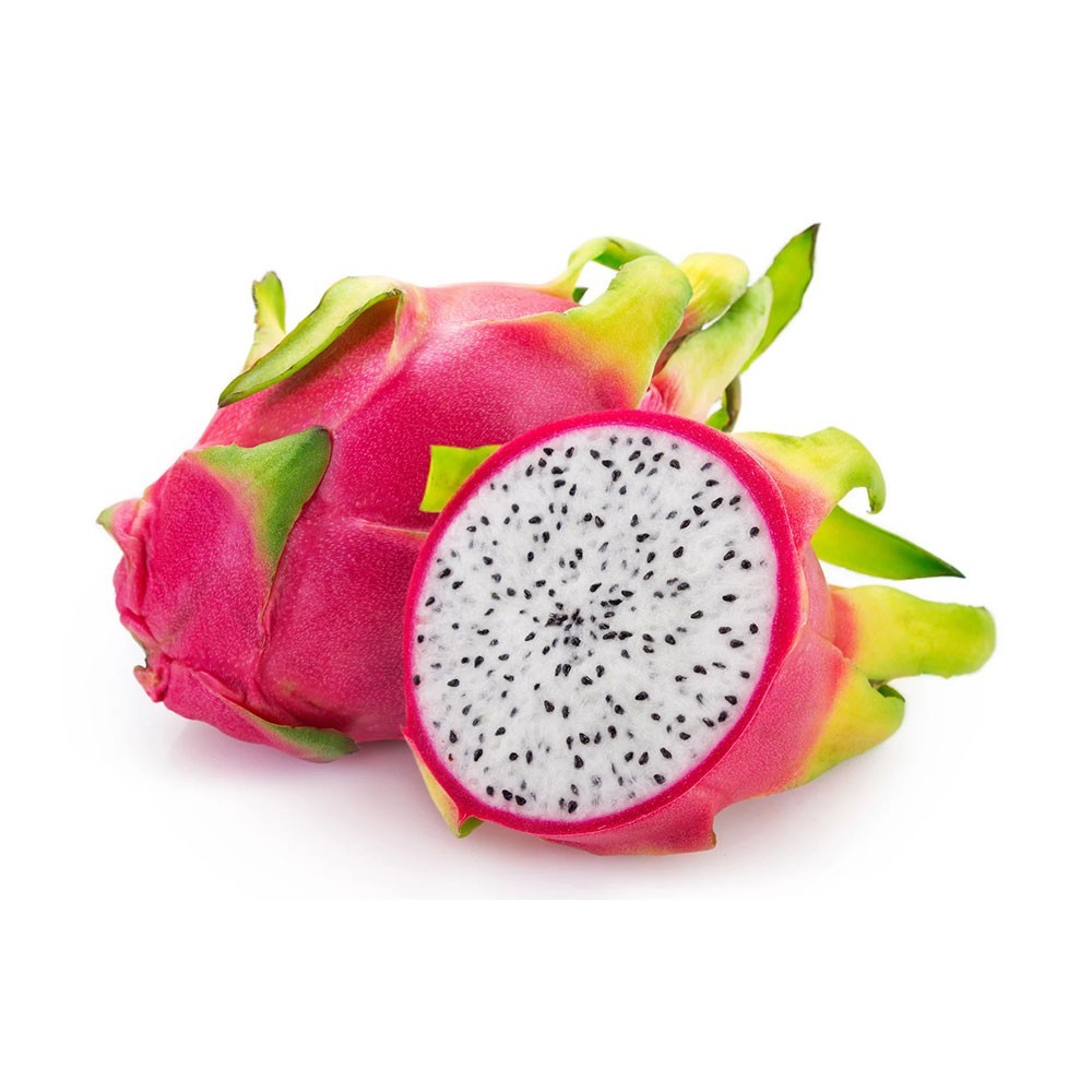 Plantă vie Pink Dragon Alocasia Calidora Fruct