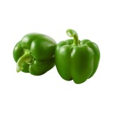Organic Transparent Green Bell Pepper