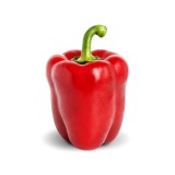 Organic Transparent Green Bell Pepper