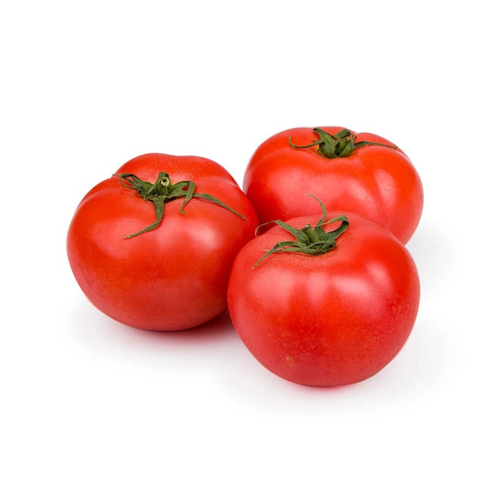 Tomato Red Round Premium Vegetable